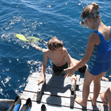 Wyświetl album Wyświetl album