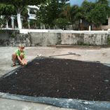 Wyświetl album Wyświetl album